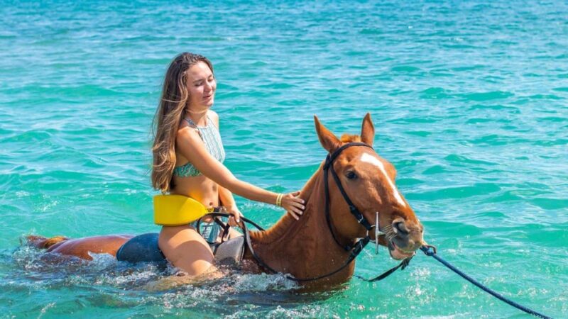 Montego Bay/Negril/Lucea: ATV, Horseback, Zipline & Snorkel - Key Points