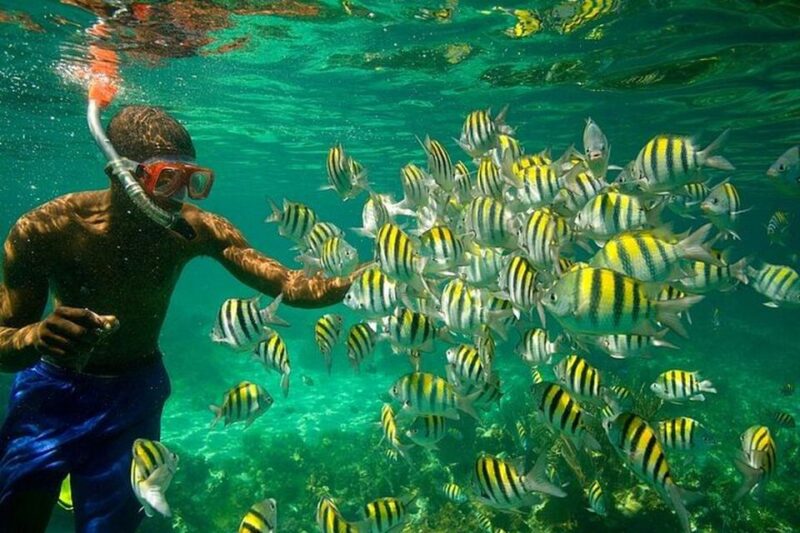 Montego Bay: Negril Seven Miles Beach & Booby Cay Boat Tour - Inclusions and Exclusions