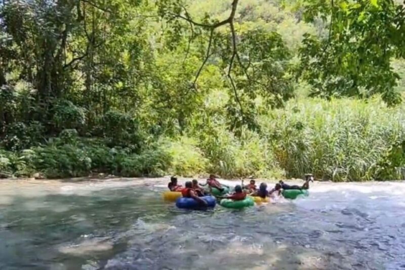 Montego Bay: Private River Tubing Adventure - Experience Highlights