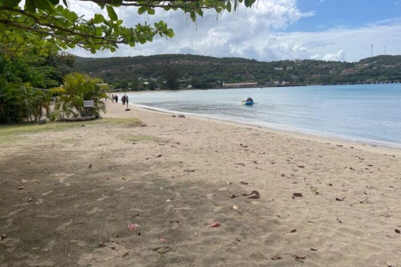 Montego Bay: Private River Tubing Adventure - Accessibility