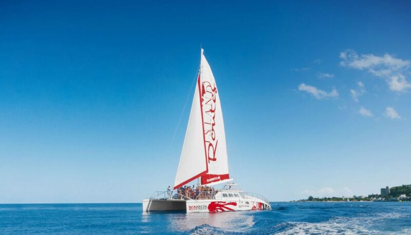 Montego Bay: Reggae Catamaran Cruise With Snorkeling - Key Points