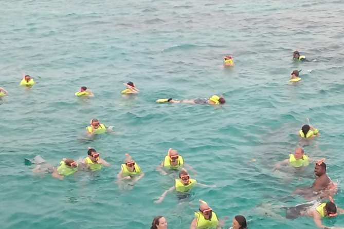 Montego Bay Shore Excursion: Private Snorkel Tour - Snorkeling Experience
