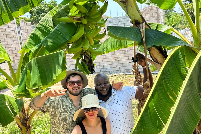 Montego Bay Sightseeing, Shopping and Bamboo Rafting - Montego Bay Highlights