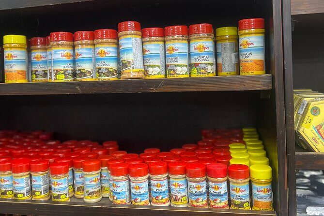 Montego Bay Sightseeing, Souvenir Shopping and local food hunt - Who Is This Tour Best For?