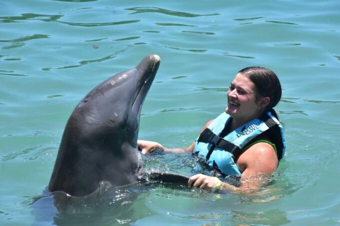 Montego Bay: Swim With The Dolphins Adventure in Lucea - Recap