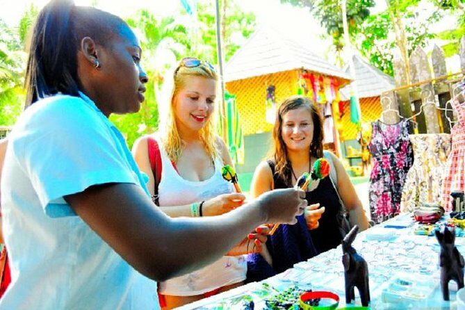 Montego Bay to Dunn's River Falls Half-Day Trip - The Itinerary and What to Expect