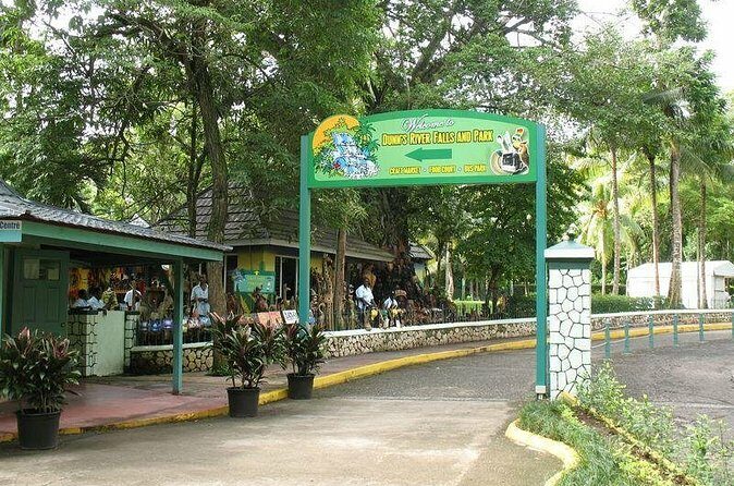 Montego Bay to Dunn's River Falls Half-Day Trip - Who Will Love This Tour?