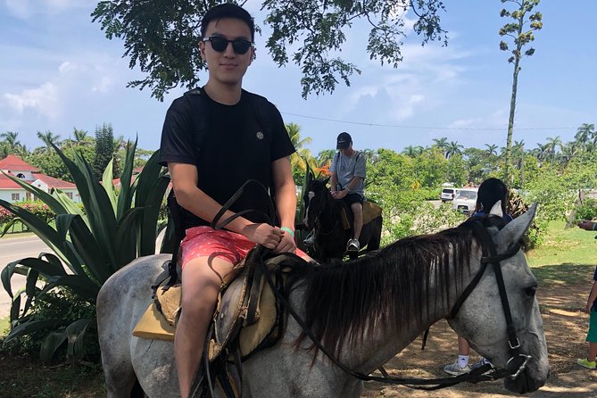 Montego Bay to Horse Back Riding, River Tubing, Blue Hole Falls - Included Food and Refreshments