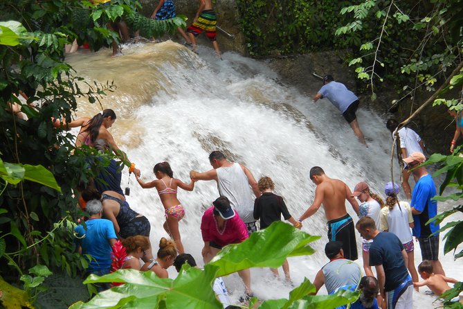 Montego Bay Tour: Dunns River Falls - Tour Itinerary and Activities