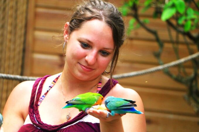 Montego Bay: Yaaman Adventure Park ATV Tour With Lunch - Complimentary Lunch and Bird Aviary