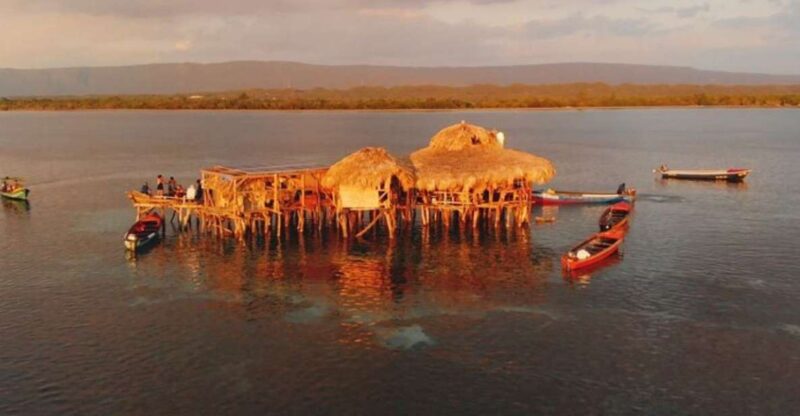 Montego Bay: YS Falls and Appleton Rum Private Tour by Van - Key Points