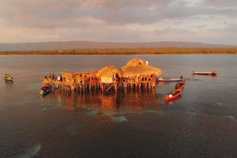 Montego Bay: YS Falls and Appleton Rum Private Tour by Van - Attractions