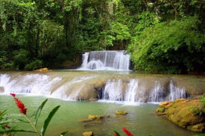Montego Bay: YS Falls and Appleton Rum Private Tour by Van - Inclusions