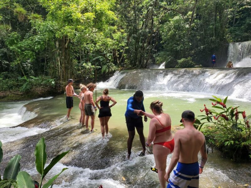 Montego Bay: YS Falls and Appleton Rum Private Tour by Van - Pickup and Transportation