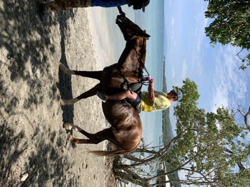 Montego Bay: Zipline, ATV, Horseback Riding & Catamaran Tour - Activities Included