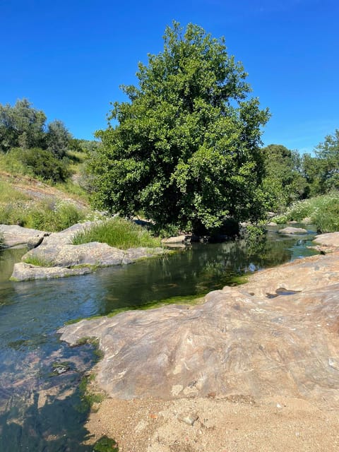Montemor-O-Novo: Guided Hiking Tour With Lunch - Key Points