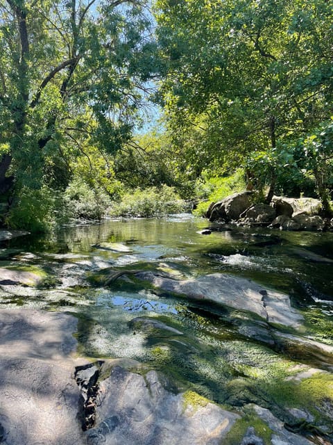 Montemor-O-Novo: Guided Hiking Tour With Lunch - Itinerary Details