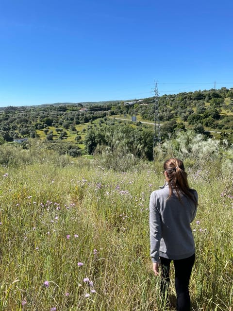 Montemor-O-Novo: Guided Hiking Tour With Lunch - Hiking Highlights