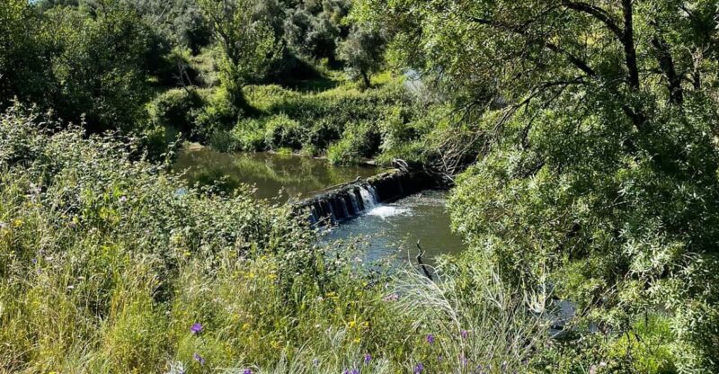 Montemor-O-Novo: Guided Hiking Tour With Lunch - Pricing and Reservations