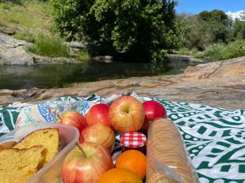 Montemor-O-Novo: Guided Hiking Tour With Lunch - Availability and Meeting Point