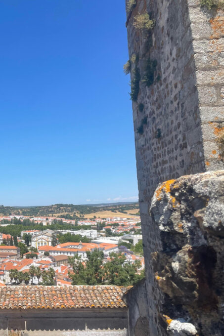 Montemor-o-Novo or Évora: Day Tour in Montemor, Évora - Frequently Asked Questions