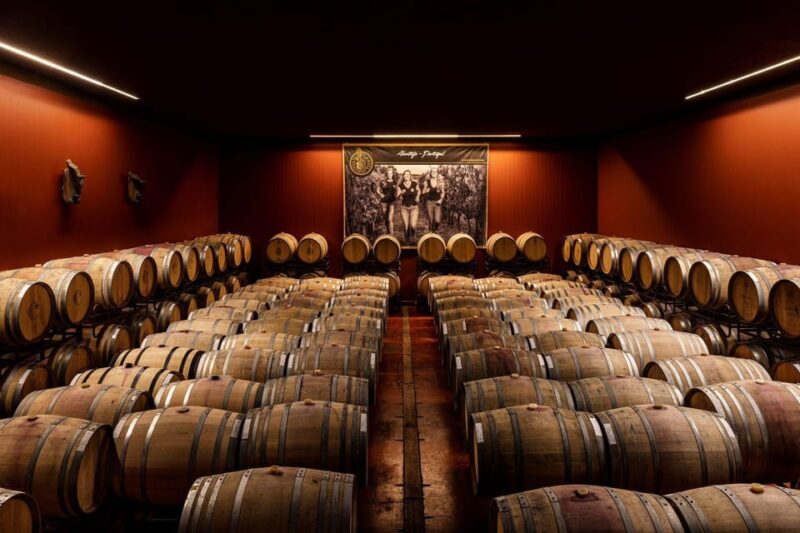 Montemor-o-Novo: Wine Tasting and Winery Tour - Blending Tradition and Innovation