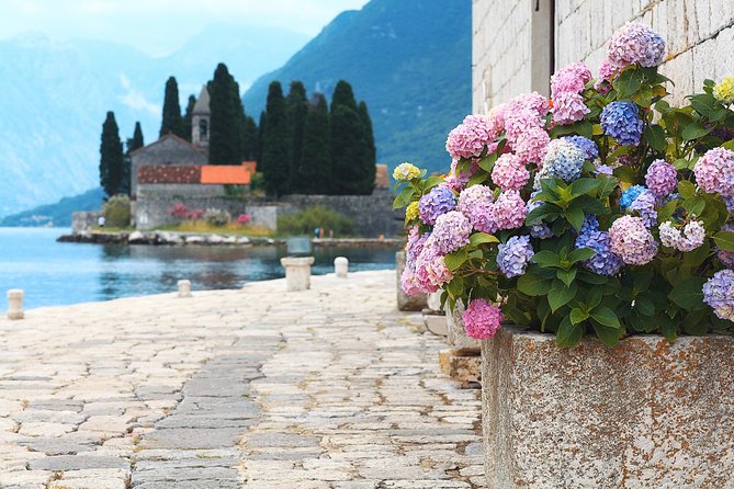 Montenegro Bay Cruise With Lunch on the Boat Day Trip - Guest Reviews and Feedback