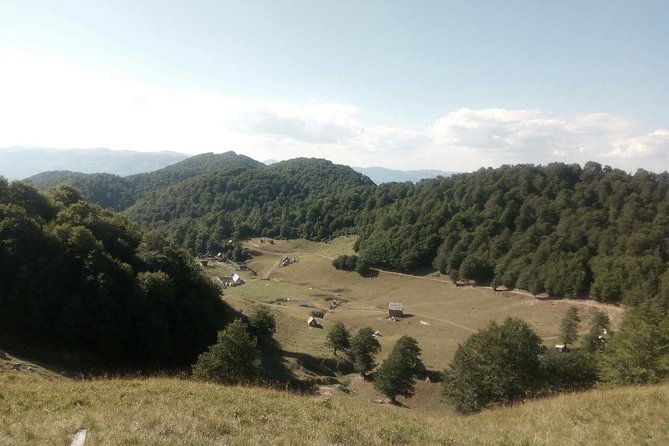 Montenegro Village Cheese Private Tour  - Podgorica - What to Expect