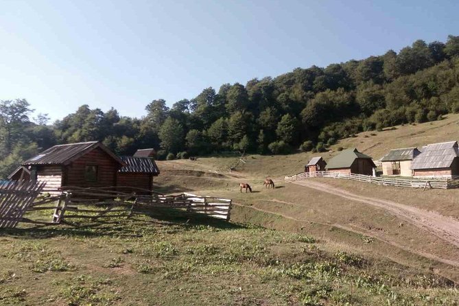 Montenegro Village Cheese Private Tour  - Podgorica - Additional Details