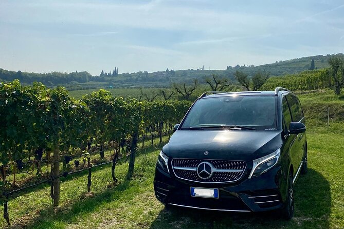 Montepulciano and Chianti in 1 Day + Lunch&Transfer From Florence - Historic Cellar Wine Tasting