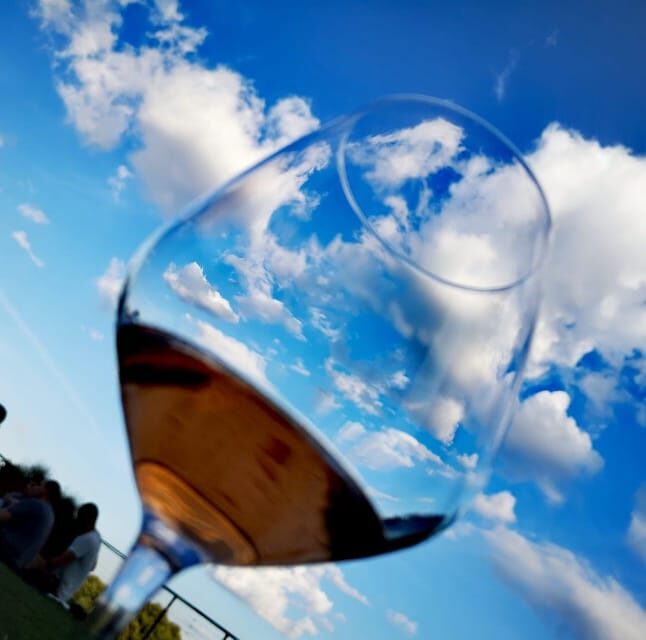 Montepulciano: Artisan Heroic Wine Tasting at the Terrace - Booking Information and Pricing Details