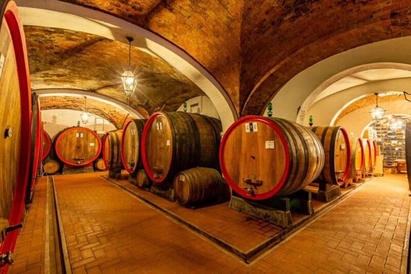Montepulciano: Guided Winery Tour With Tasting & Appetizers - Wheelchair Accessibility