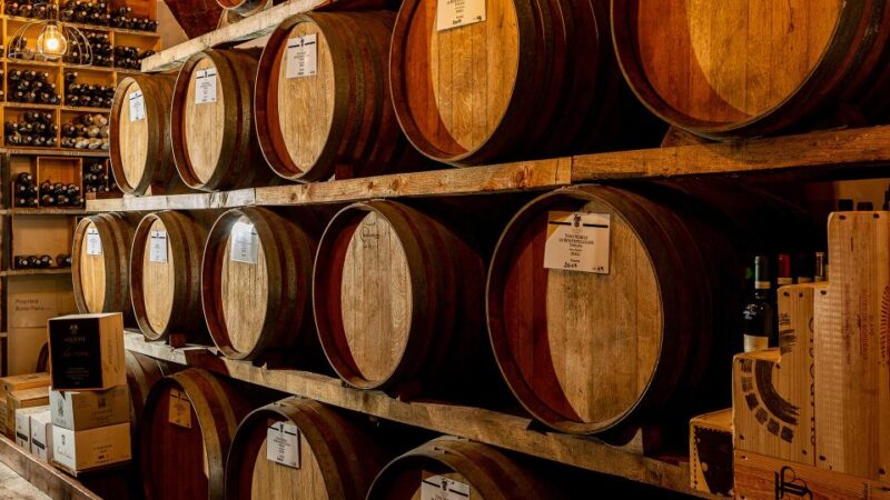 Montepulciano: Learn How To Taste Wine - Educational Takeaways