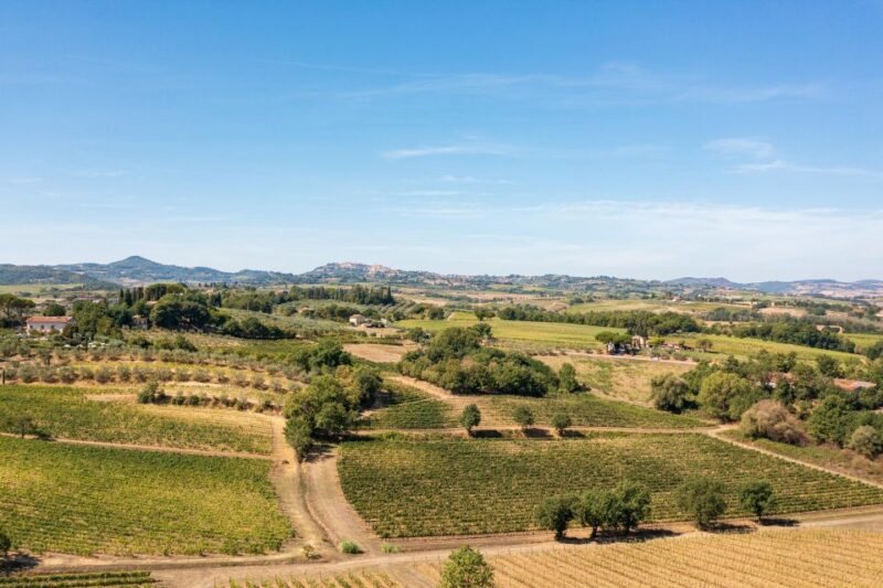 Montepulciano: Learn How To Taste Wine - Engaging and Fun Experience