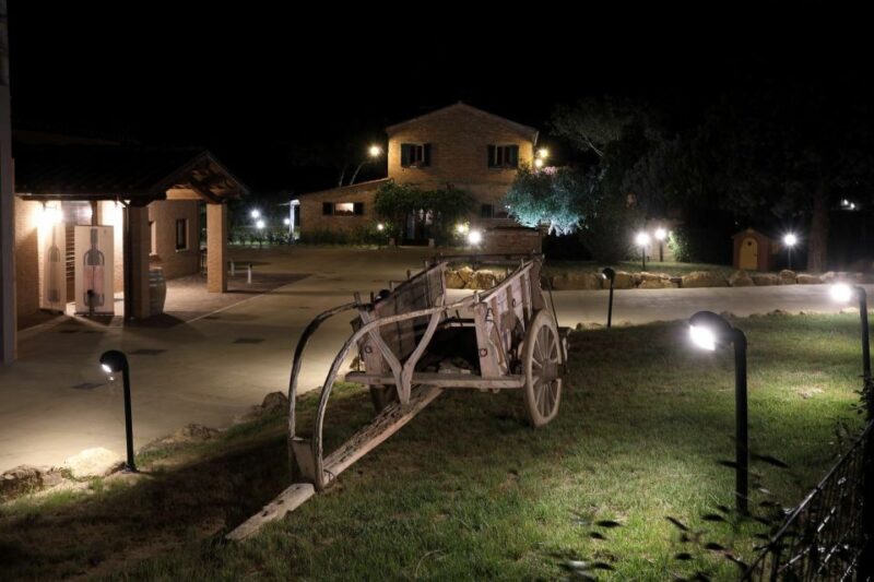 Montepulciano: Tuscan Winery Tour With Wine Tasting & Meal - Experience Highlights