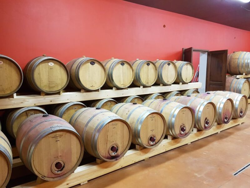 Montepulciano: Tuscan Winery Tour With Wine Tasting & Meal - Winemaking Process