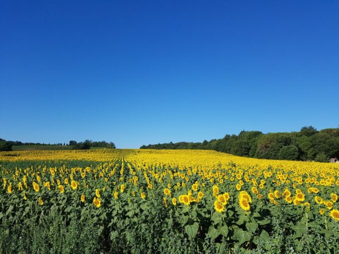 Montepulciano: Tuscan Winery Tour With Wine Tasting & Meal - Tour Duration