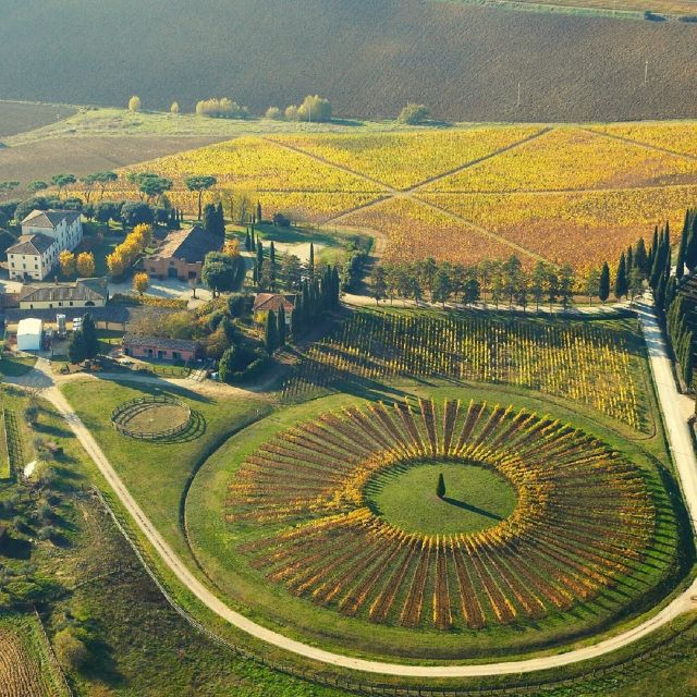 Montepulciano: Tuscan Winery Tours With Wine Tastings - Key Points