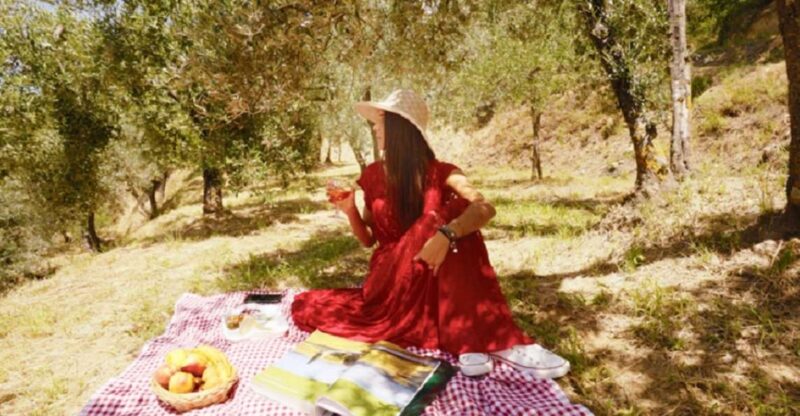 Montepulciano: Wine Cellar Tour & Tuscan Countryside Picnic - Activity Overview