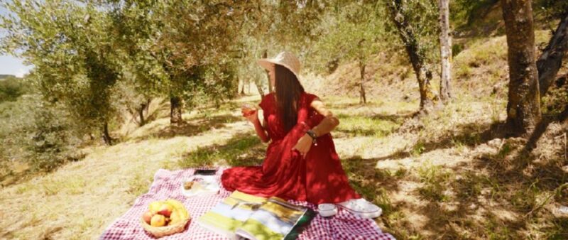 Montepulciano: Wine Cellar Tour & Tuscan Countryside Picnic - Experience Highlights