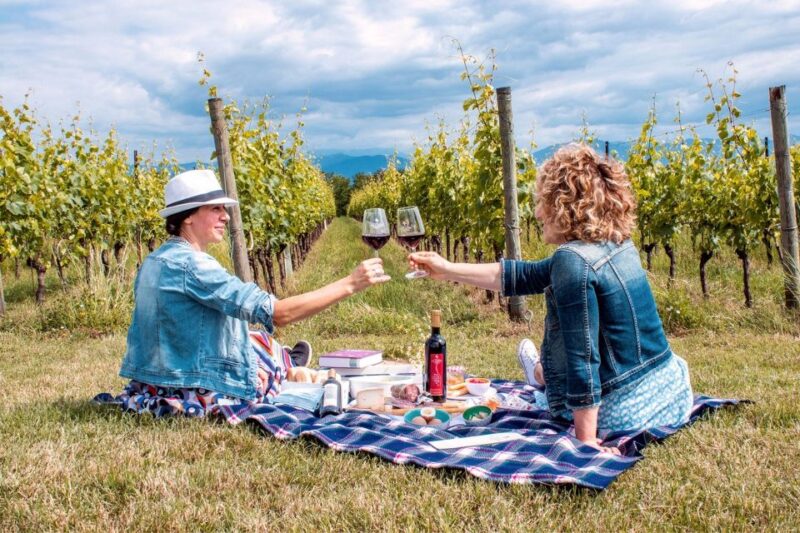 Montepulciano: Wine Cellar Tour & Tuscan Countryside Picnic - Booking and Meeting Information