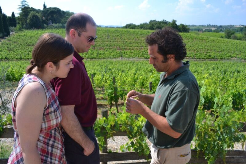 Montepulciano Wine & Cheese Tour With Lunch From Florence - Itinerary