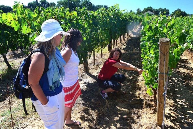 Montepulciano Wine & Cheese Tour With Lunch From Florence - Important Information