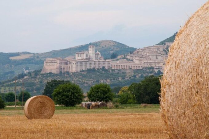Montepulciano Wine Tasting and Assisi Private Day Tour - Luxury Transportation and Pickup Convenience
