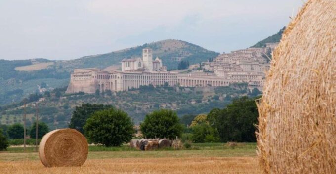 Montepulciano Wine Tasting and Assisi Private Day Tour - Tour Pricing and Cancellation Policy