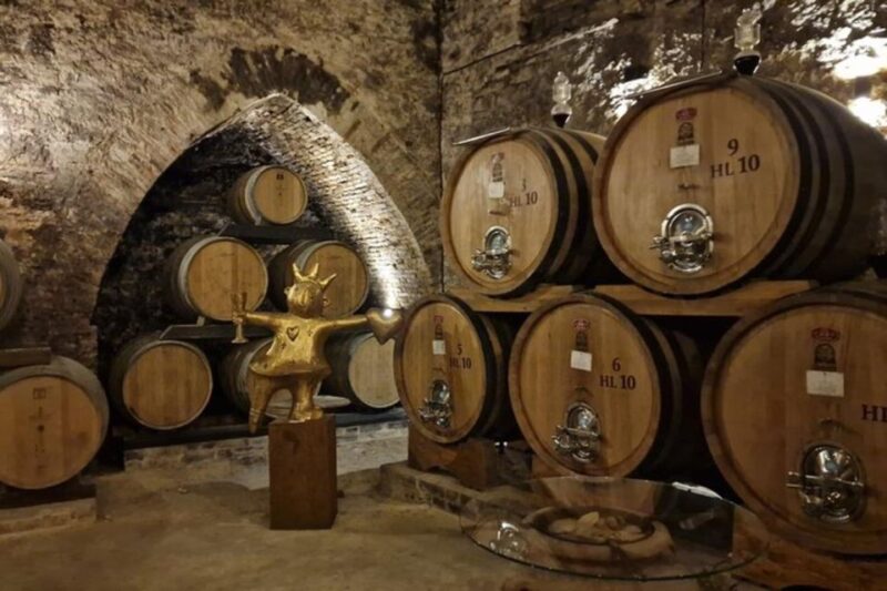 Montepulciano Wine Tasting and Orvieto Private Day Tour - Transportation and Logistics