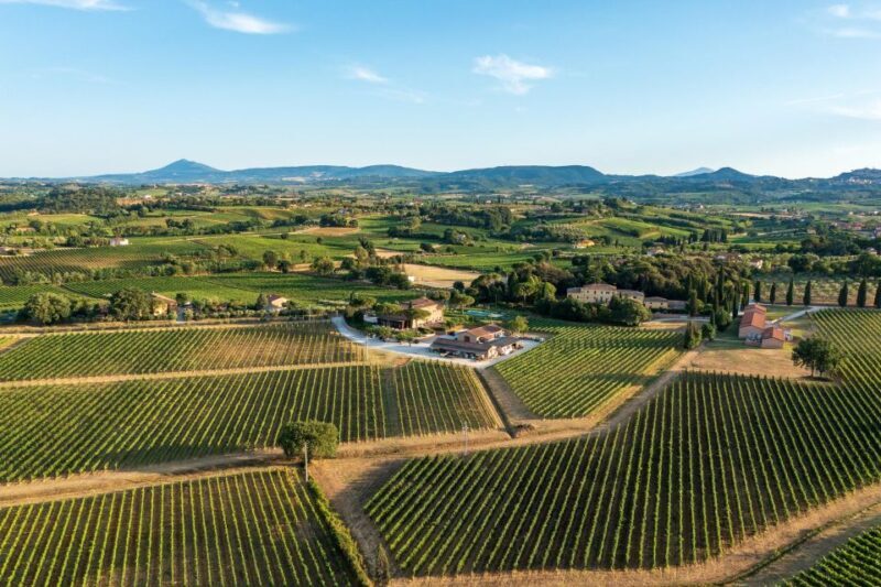 Montepulciano: Wine Tasting in the Tuscan Countryside - Exploring the Tuscan Countryside Beyond Wine Tasting