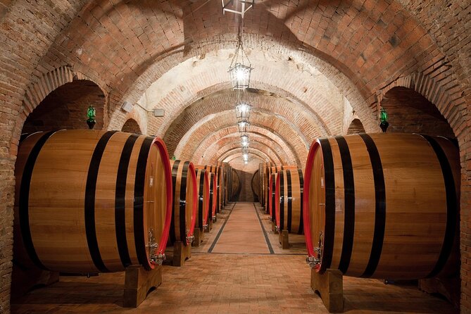Montepulciano: Wine Tasting & Lunch in a Typical Winery - Guest Reviews and Feedback