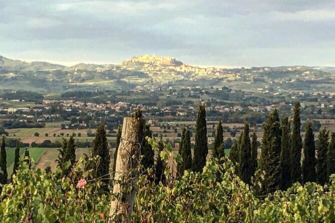 Montepulciano: Wine Tour and Tasting - Customer Feedback and Ratings