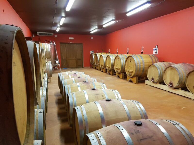 Montepulciano: Winery Tour, Tasting, and Vineyard Picnic - Activity Details